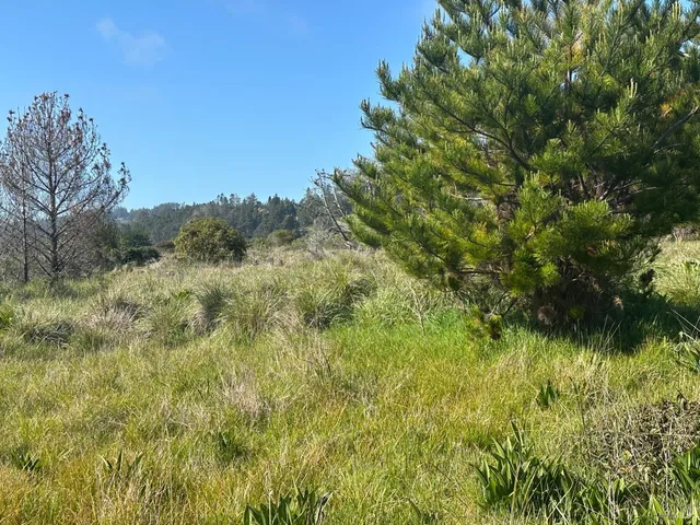 a view of lake from a house