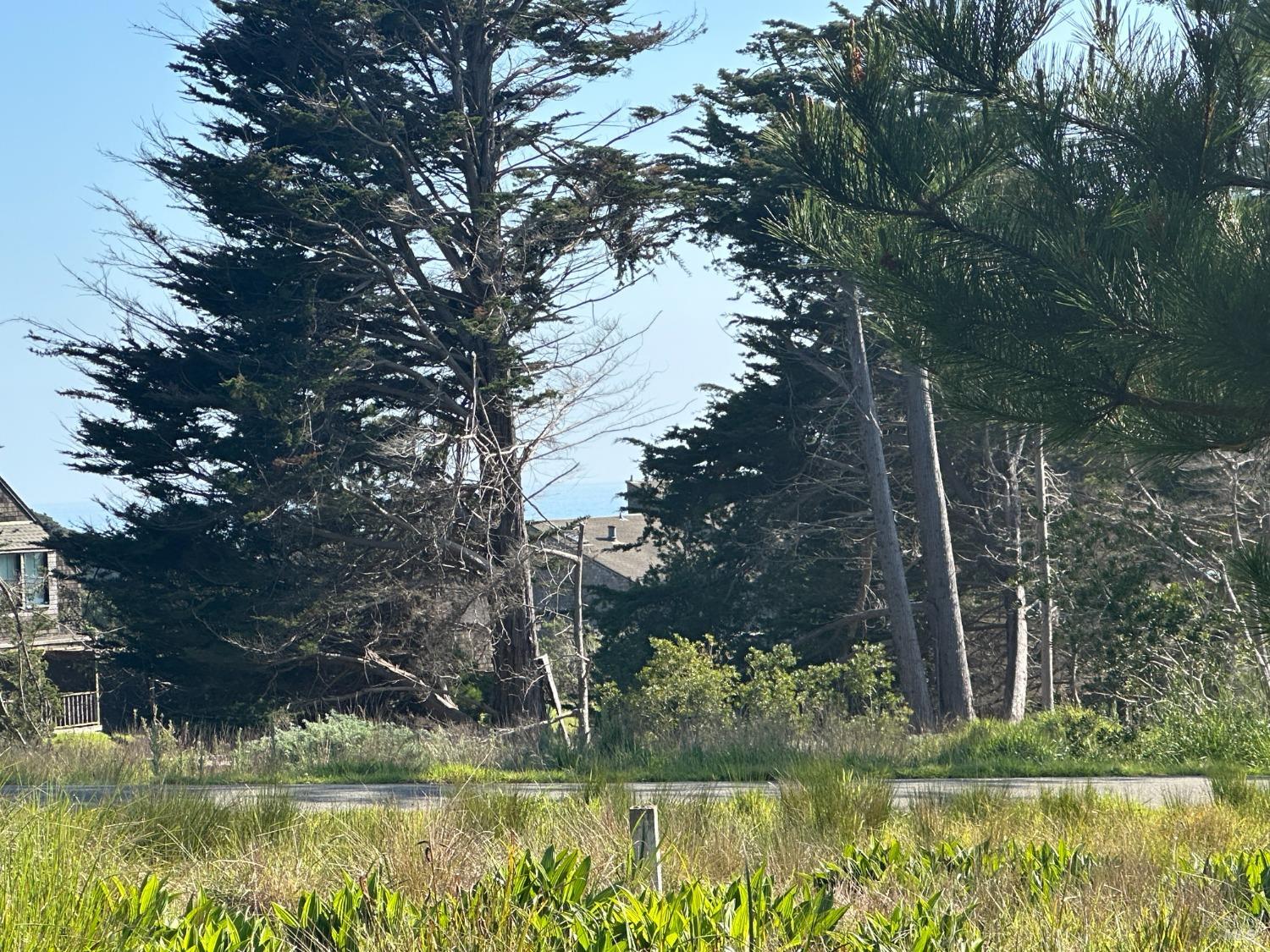 135 Shepherds Close The Sea Ranch, CA 95497 - Photo 15 of 30 a view of lake from a house