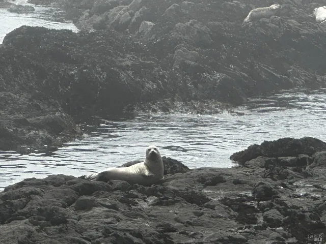 a view of a lake with a mountain in the background