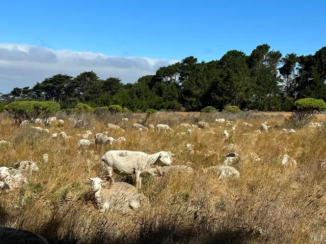 a view of house with ocean view