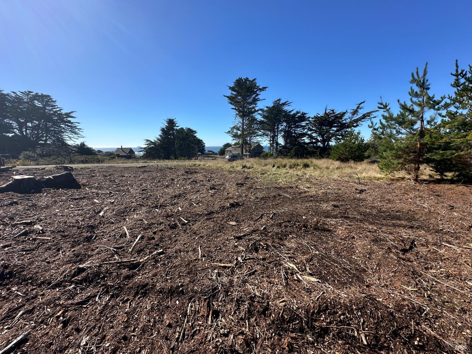 135 Shepherds Close The Sea Ranch, CA 95497 - Photo 23 of 30 a view of dirt field with trees in background