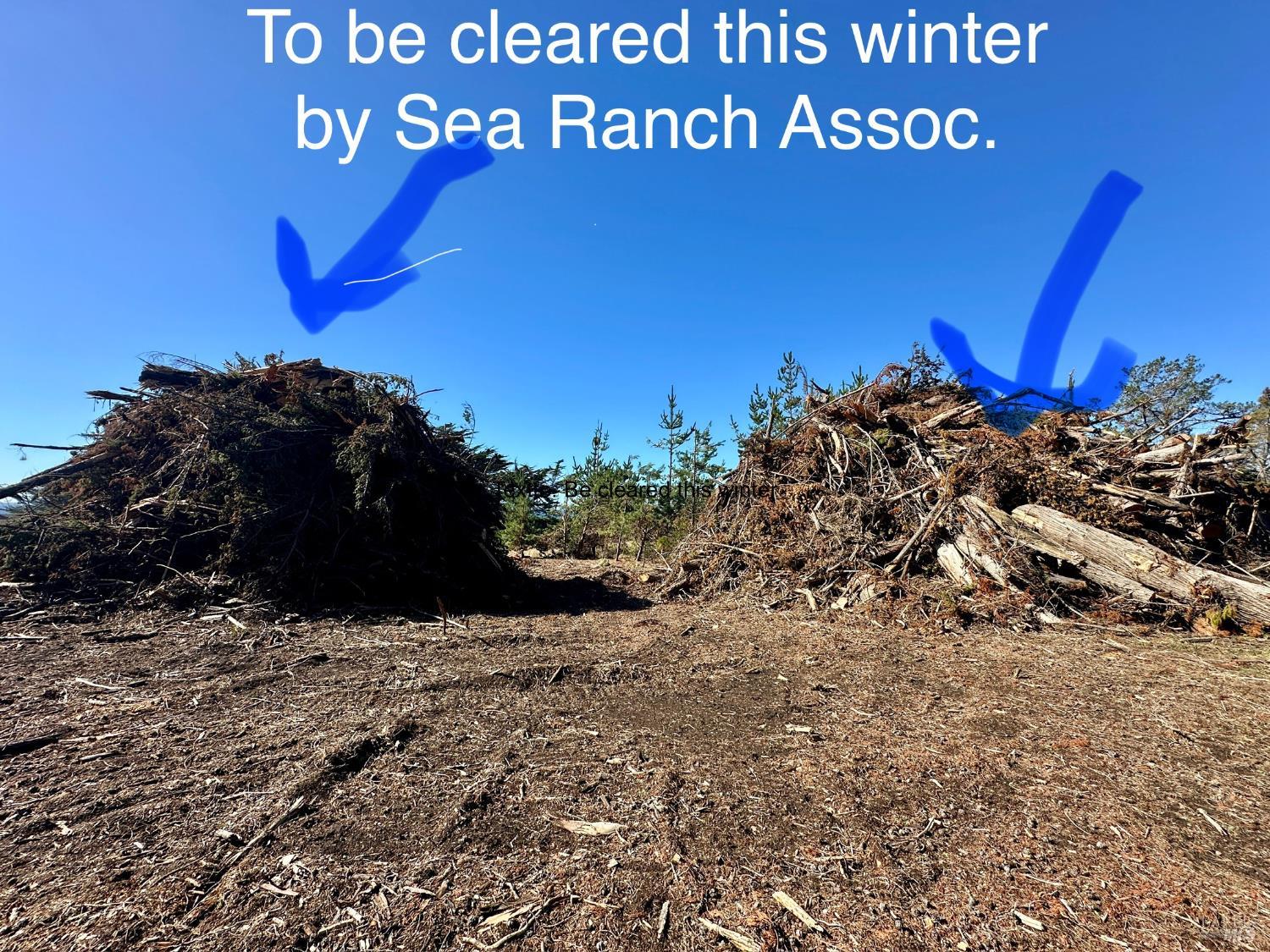 135 Shepherds Close The Sea Ranch, CA 95497 - Photo 24 of 30 a view of a pathway of a building