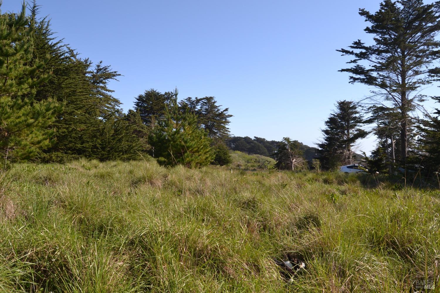 135 Shepherds Close The Sea Ranch, CA 95497 - Photo 7 of 30 a view of lake view and mountain view