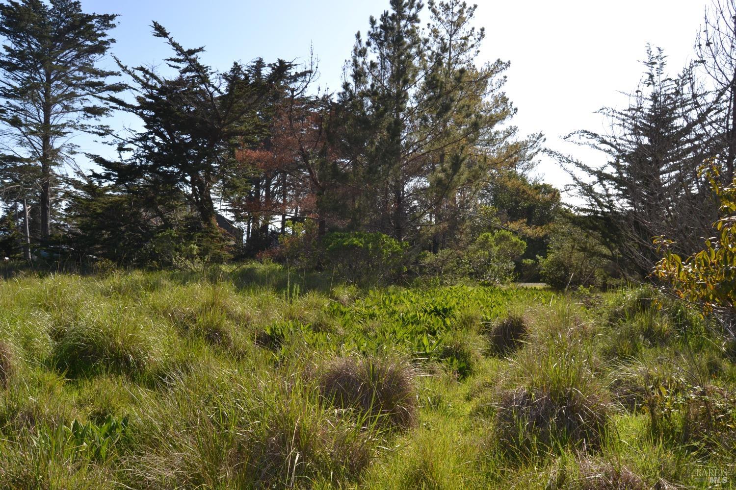 135 Shepherds Close The Sea Ranch, CA 95497 - Photo 8 of 30 a view of a yard