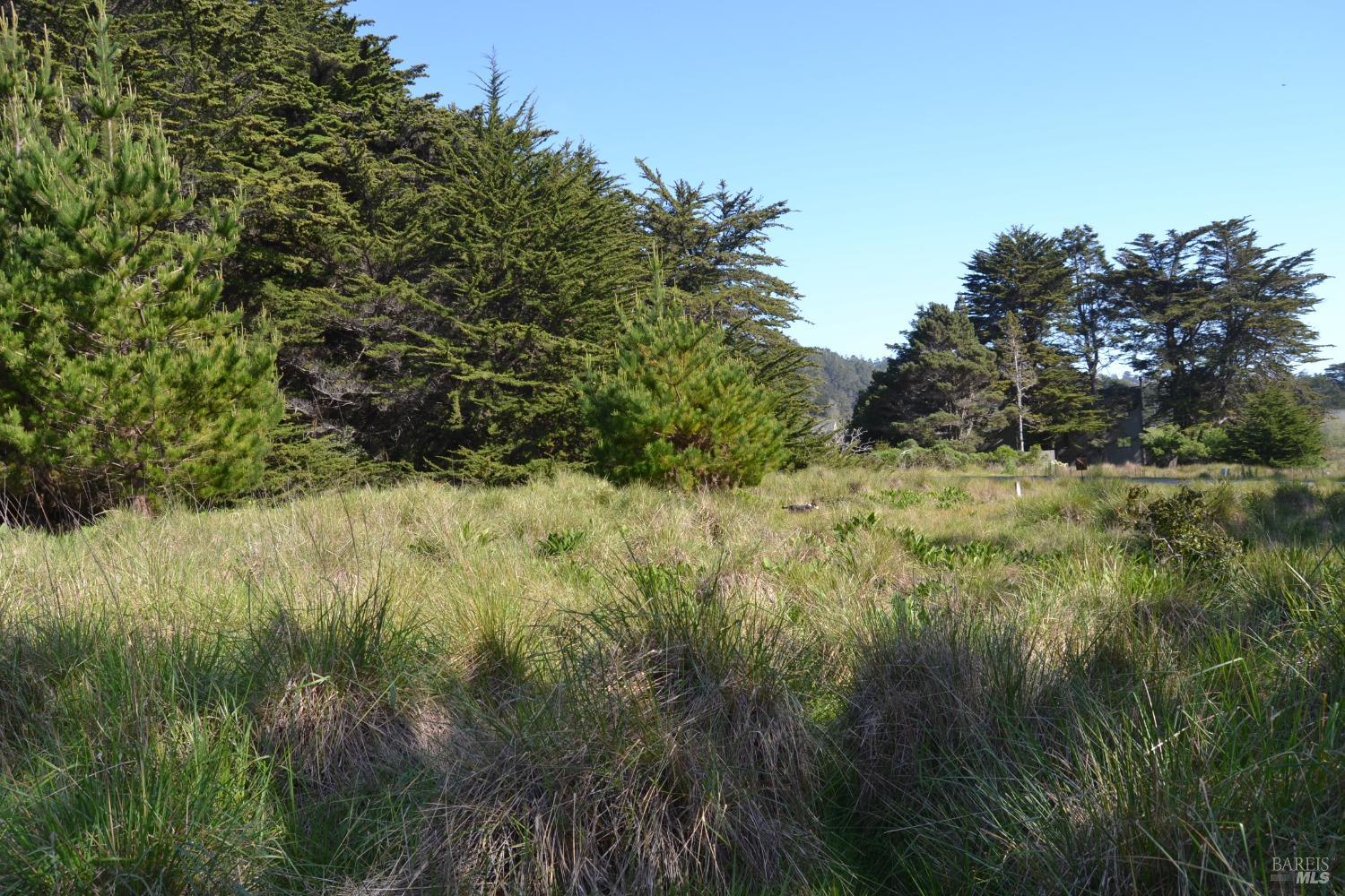 135 Shepherds Close The Sea Ranch, CA 95497 - Photo 9 of 30 a view of a lush green forest with lawn chairs next to a lake