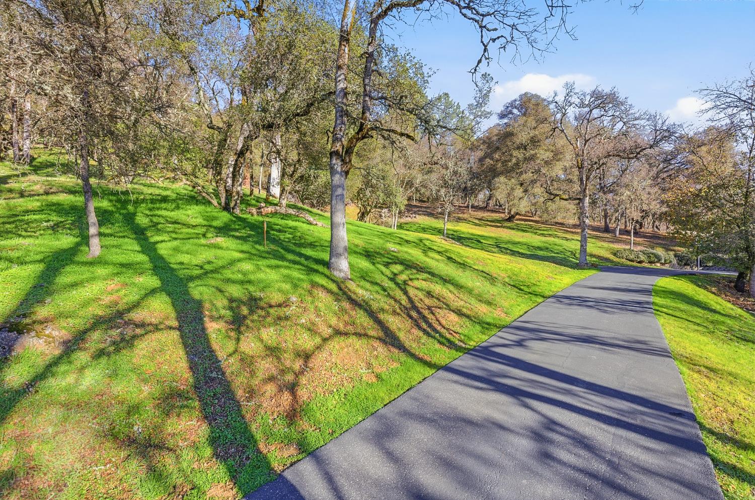 17054 Brewer Road Grass Valley, CA 95949 - Photo 1 of 8 a view of a backyard with plants and large trees