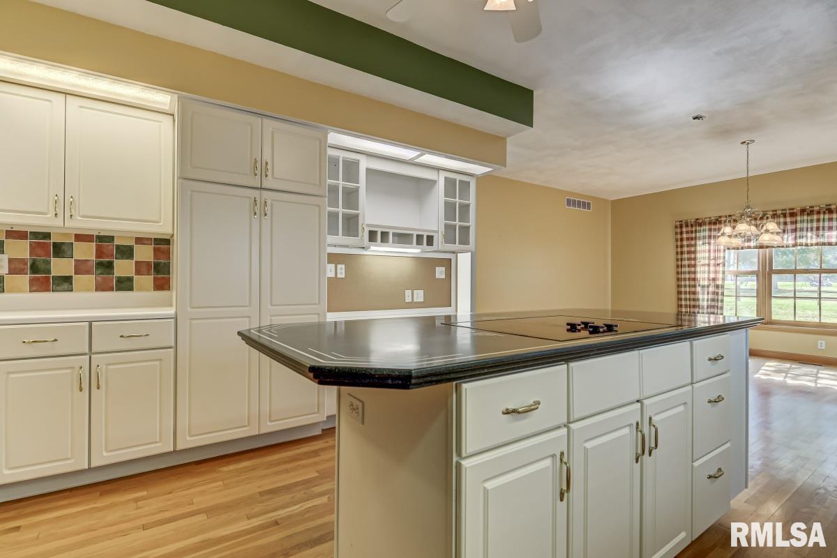 8 Chimney View Lane Sherman, IL 62707 - Photo 18 of 47 Gallery Image 18