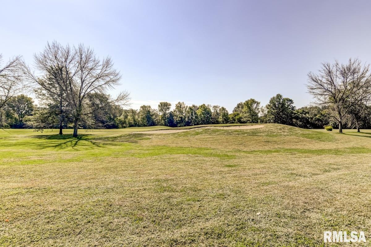 8 Chimney View Lane Sherman, IL 62707 - Photo 47 of 47 Gallery Image 47