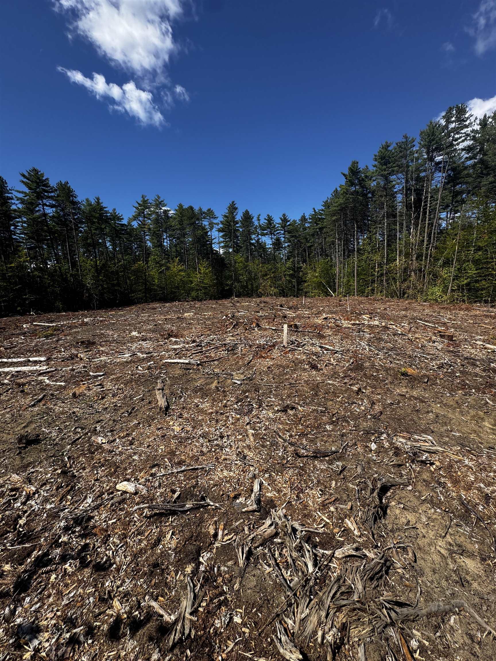 0 Green Mountain Road Effingham, NH 03882 - Photo 10 of 12 Gallery Image 10