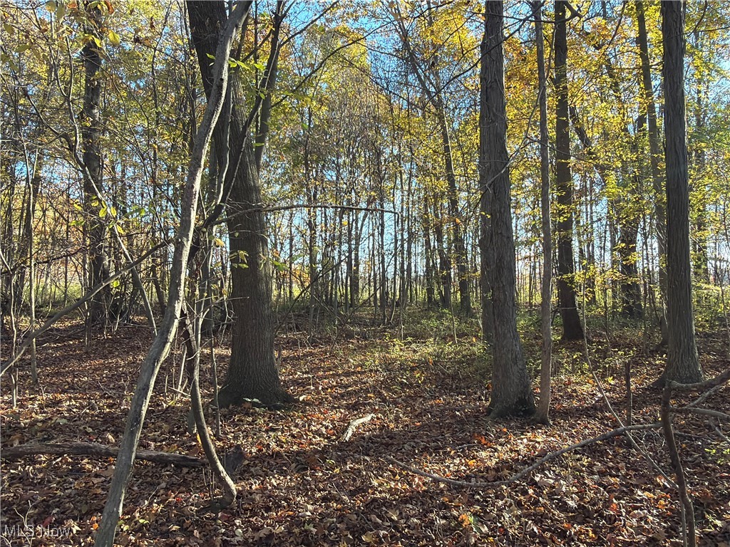 307 State Route Dorset, OH 44032 - Photo 15 of 50