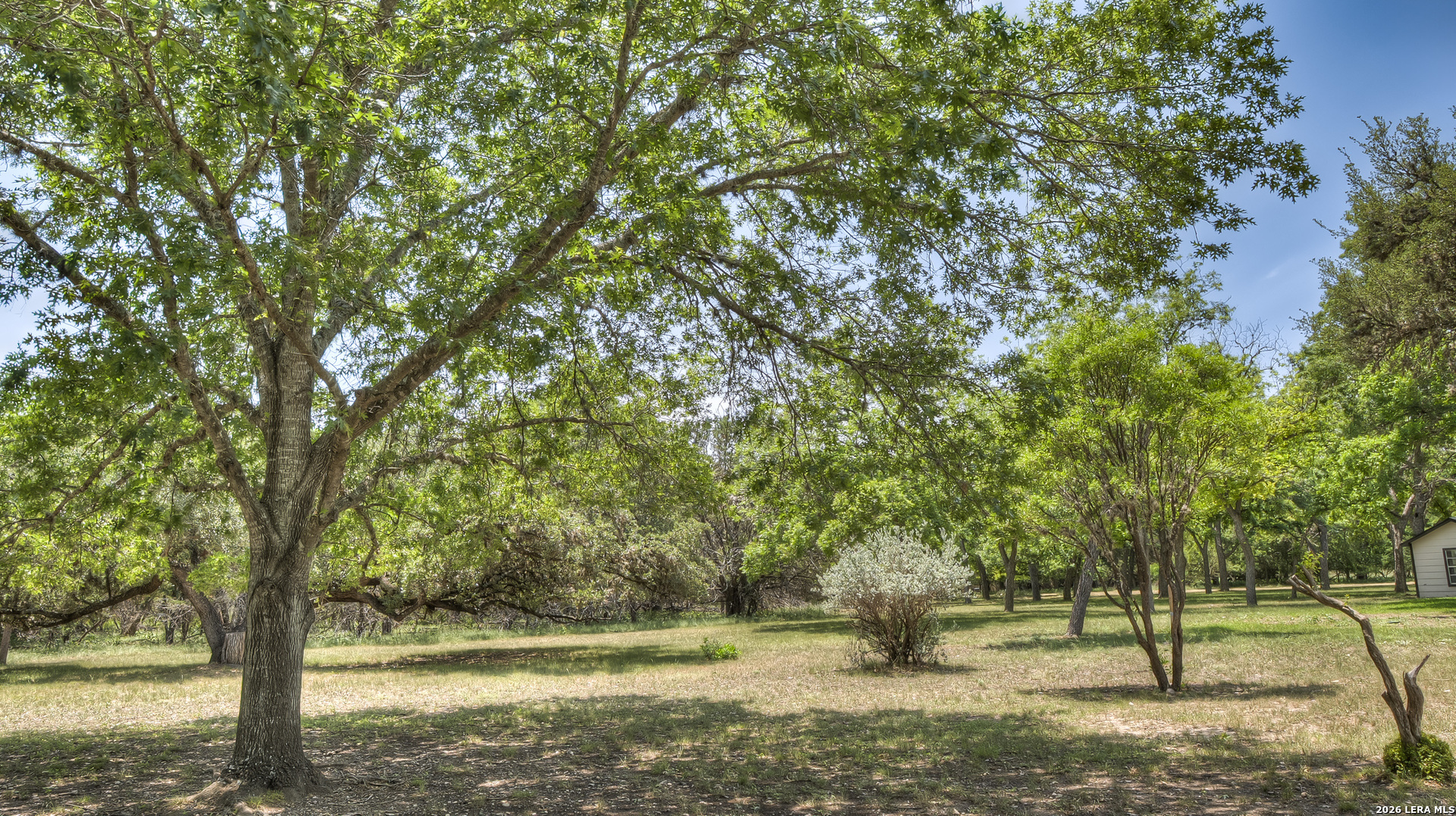 727 Leakey Springs Road Leakey, TX 78873 - Photo 19 of 89