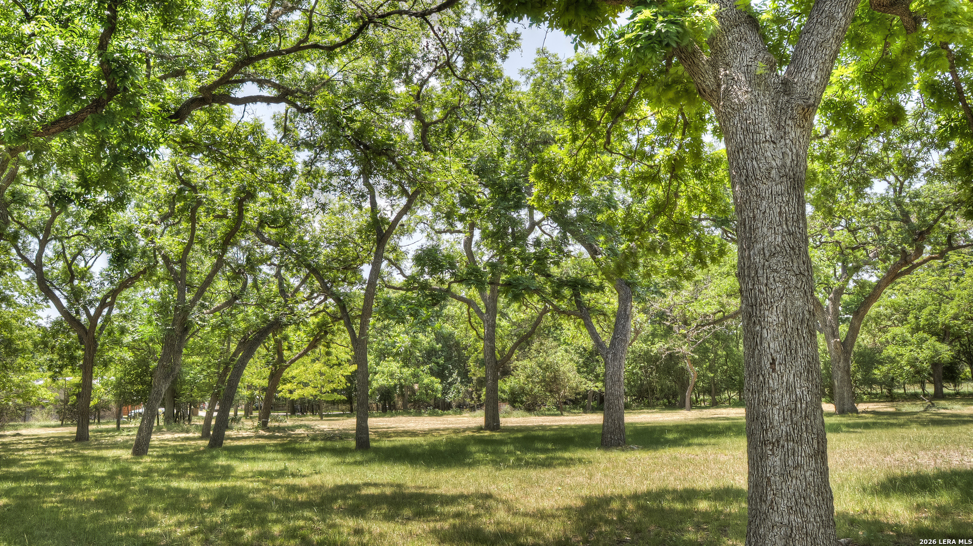727 Leakey Springs Road Leakey, TX 78873 - Photo 30 of 89