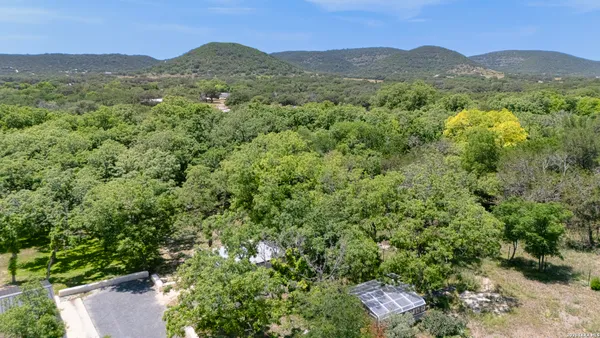 a view of a lush green field with lots of bushes