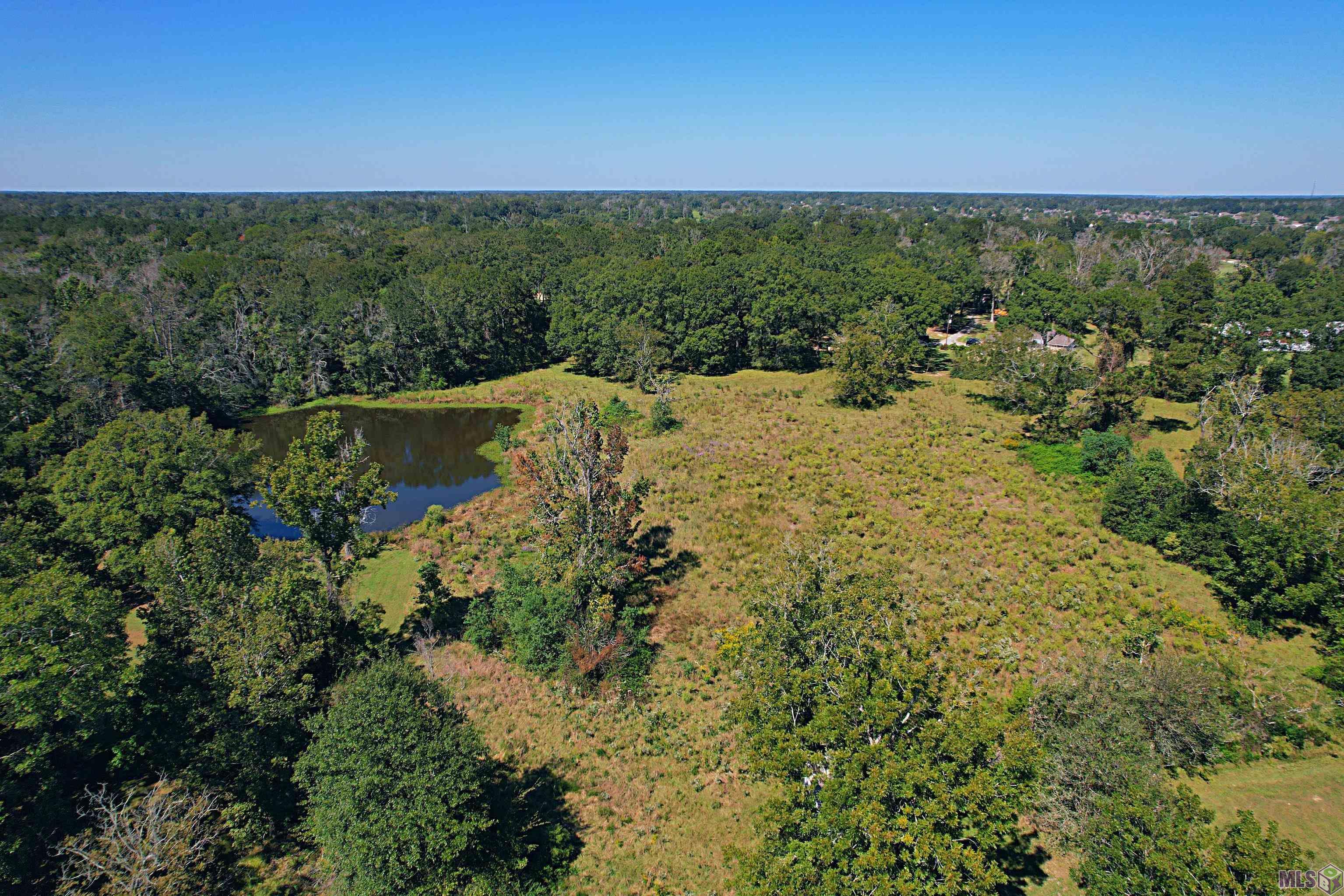 8975 Springfield Road Denham Springs, LA 70706 - Photo 3 of 17