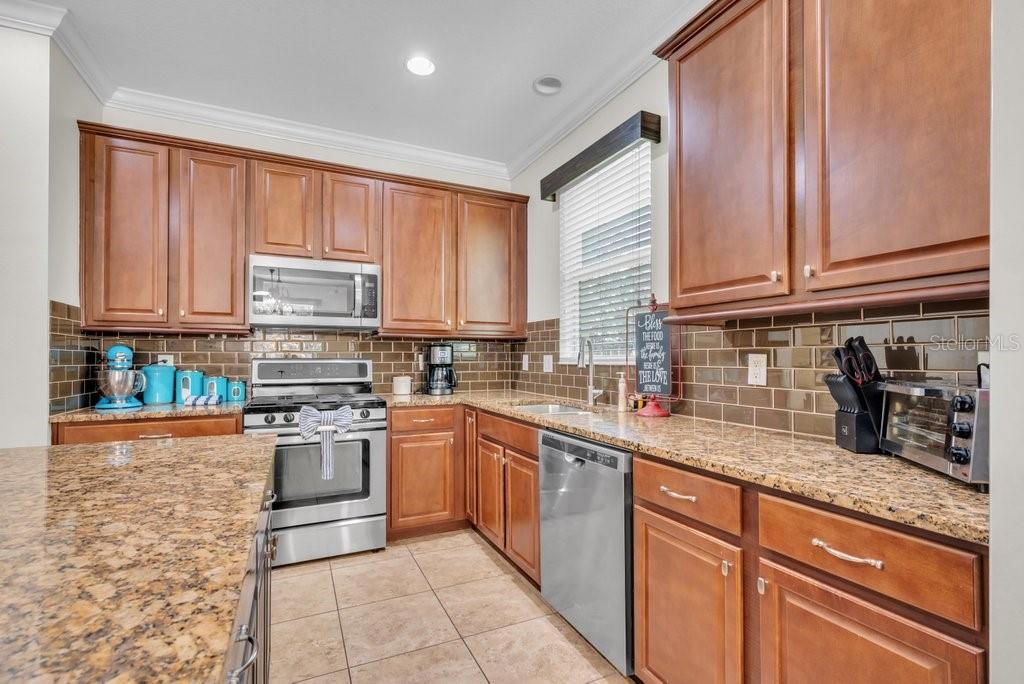15721 Oakleaf Run Drive Lithia, FL 33547 - Photo 13 of 45