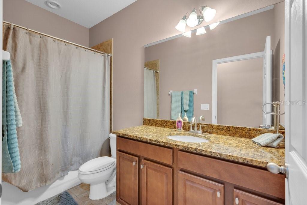 15721 Oakleaf Run Drive Lithia, FL 33547 - Photo 26 of 45