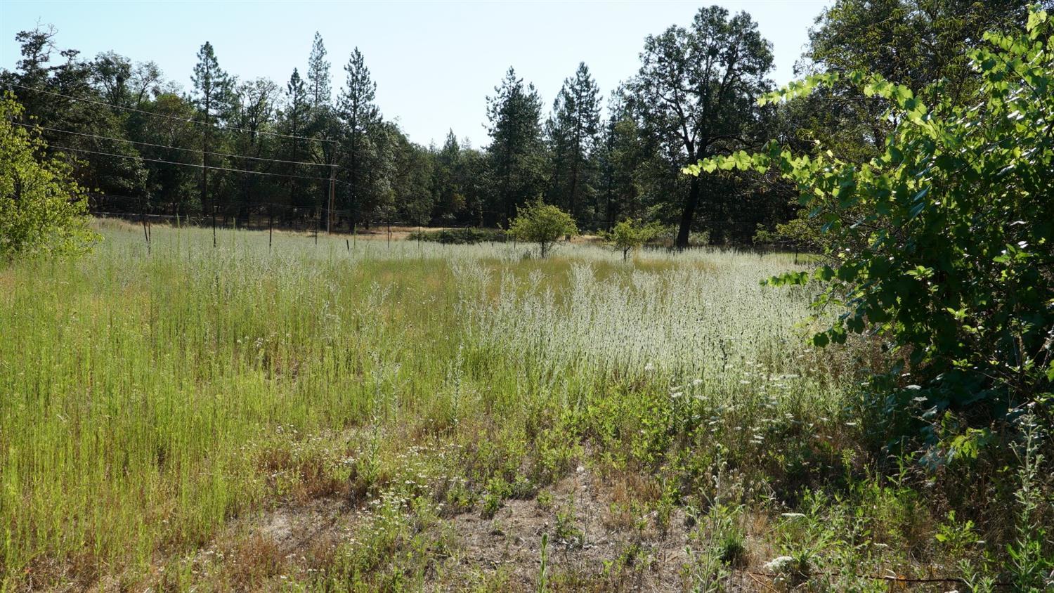 16400 Water Gap Road Williams, OR 97544 - Photo 6 of 33 Additional Photo
