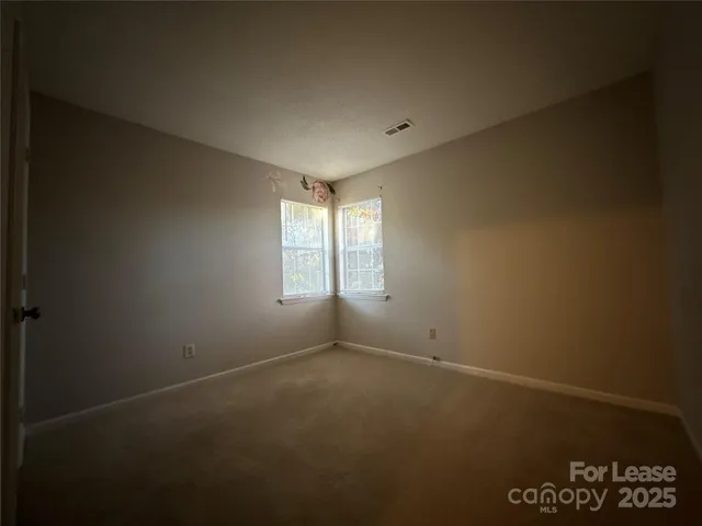a view of a forest with trees in the background