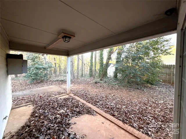 a view of a forest with trees in the background
