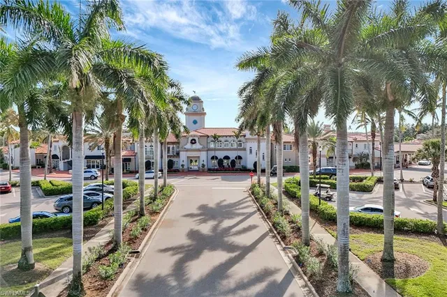 a view of small yard with palm trees