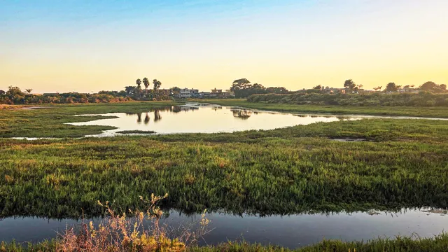 a view of a lake with a garden