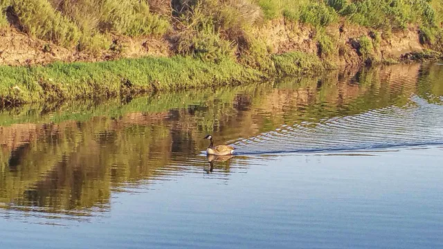 a view of a city with an ocean