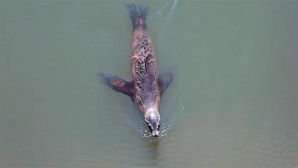 $1,080,000 | 349 Ash Avenue, Unit SPC 17, Carpinteria, CA 93013