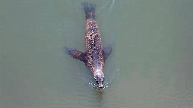 $1,130,000 | 349 Ash Avenue, Unit SPC 17, Carpinteria, CA 93013