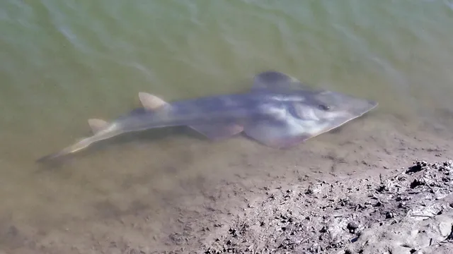 a view of ocean view