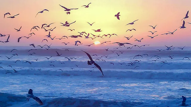 $1,180,000 | 349 Ash Avenue, Unit SPC 17, Carpinteria, CA 93013