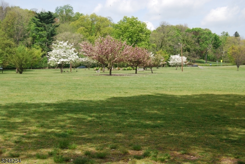511 Scotland Road South Orange, NJ 07079 - Photo 26 of 26 a view of a golf course with a lake