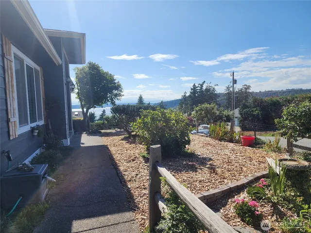 a view of a backyard