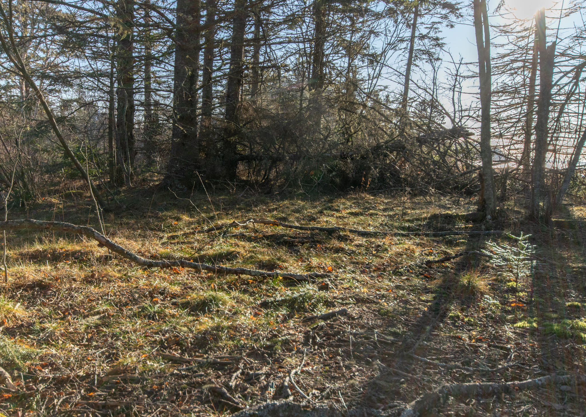 Lot 19-6-2 Dixie Road Lubec, ME 04652 - Photo 9 of 15 DSC_1812