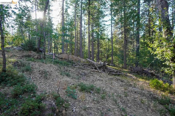 $39,500 | 157 Canyon View Drive, Murphys, CA 95247