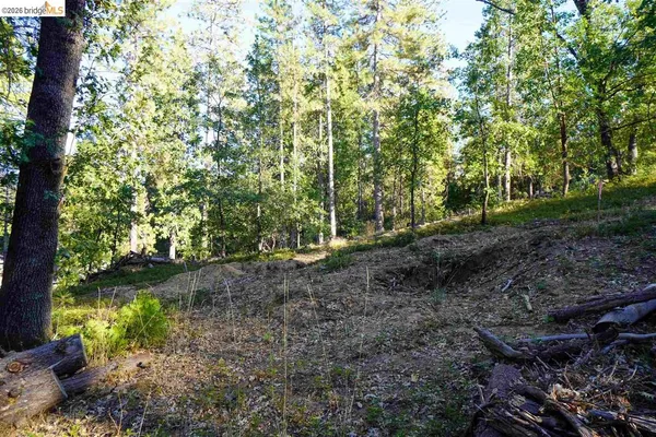 $39,500 | 157 Canyon View Drive, Murphys, CA 95247