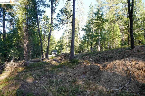 $39,500 | 157 Canyon View Drive, Murphys, CA 95247