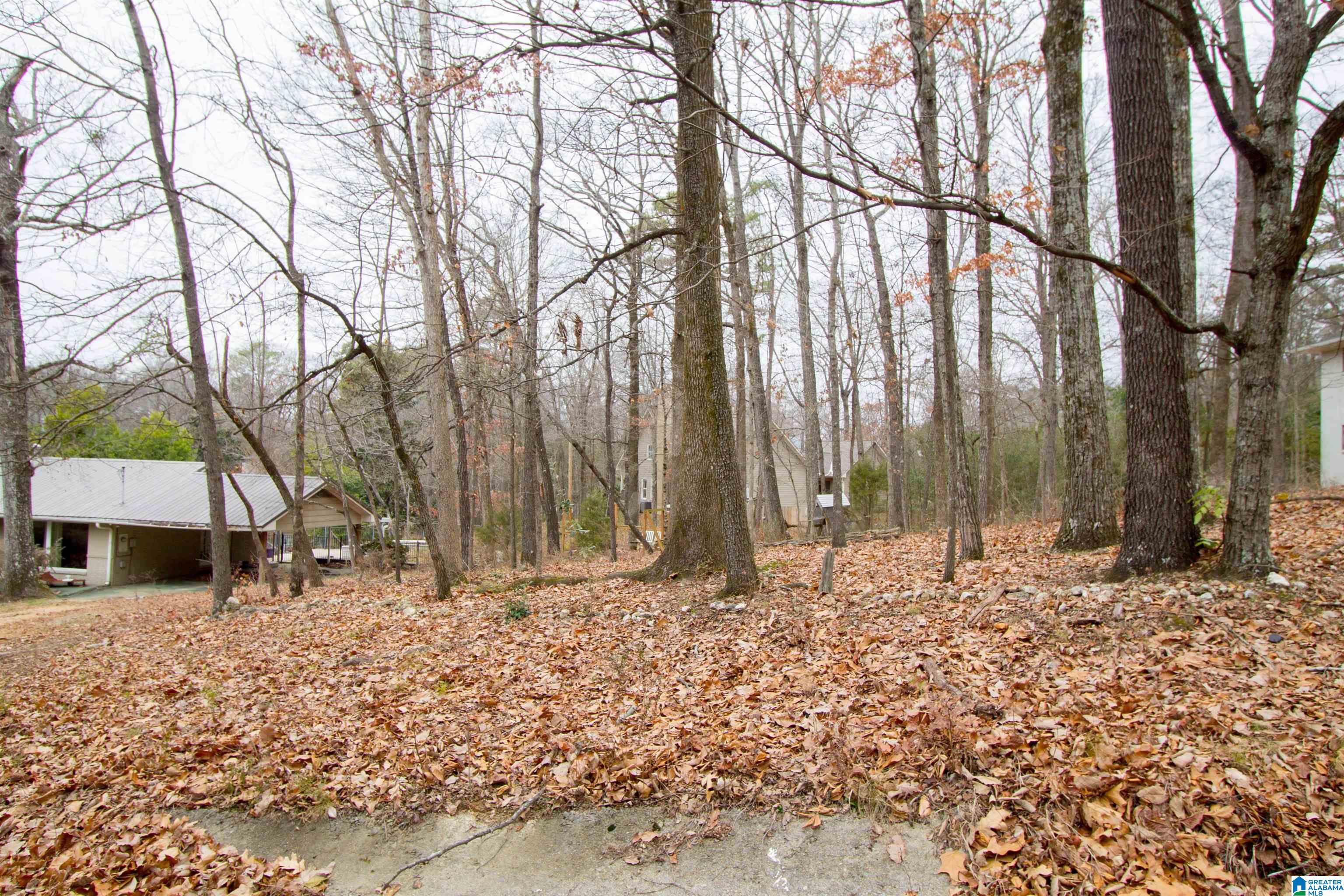 605 Ridge Road Birmingham, AL 35206 - Photo 28 of 29