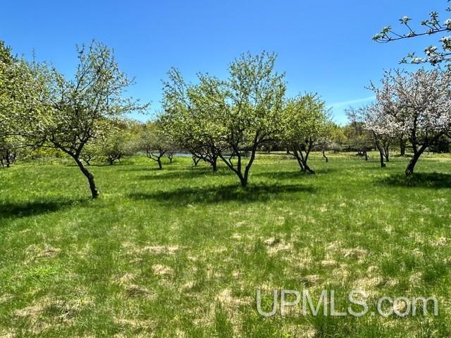 Tbd Tbd Bellaire Road Baraga, MI 49908 - Photo 38 of 49