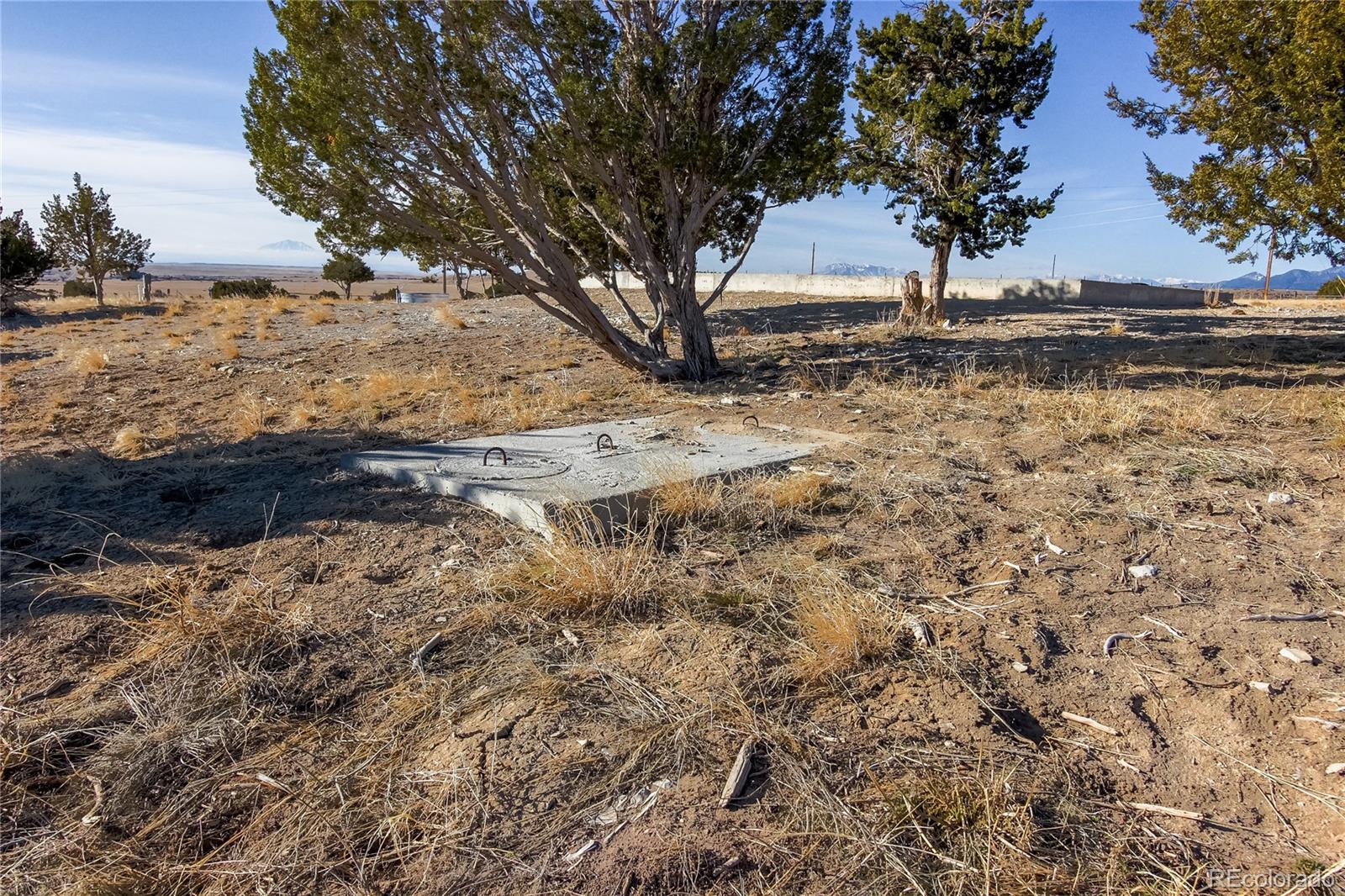320 Morning Star Road Rye, CO 81069 - Photo 8 of 34 a view of dirt yard with a large tree