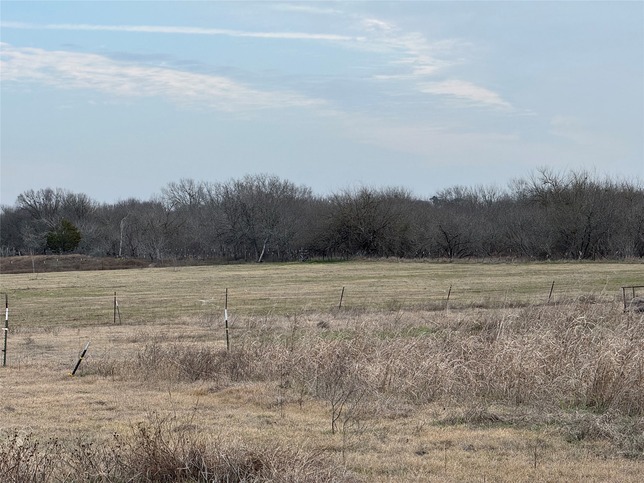 14831 Bois-D-Arc Road, Unit 10 Manor, TX 78653 - Photo 14 of 17 View of yard with a view of rural / pastoral area and a view of trees