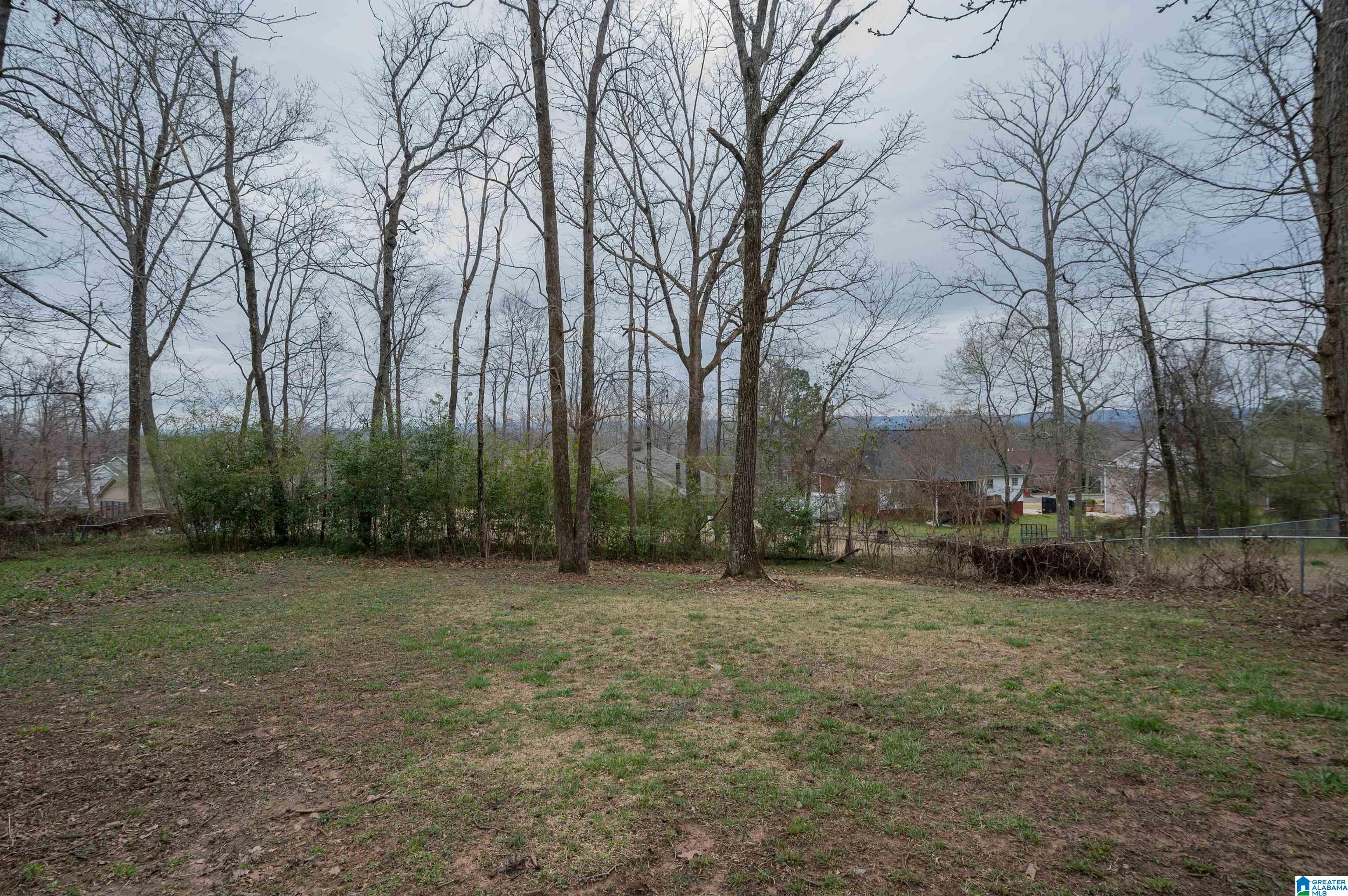 3945 Rock Ridge Road Birmingham, AL 35210 - Photo 41 of 43