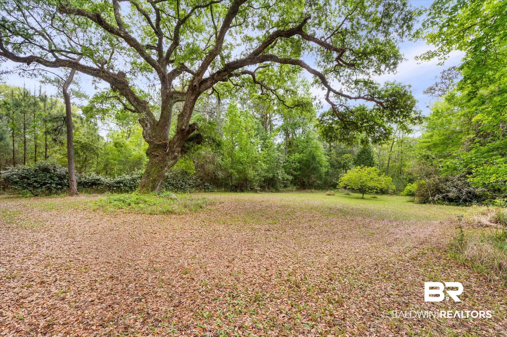 4055 Riviere Du Chien Road Mobile, AL 36693 - Photo 26 of 63