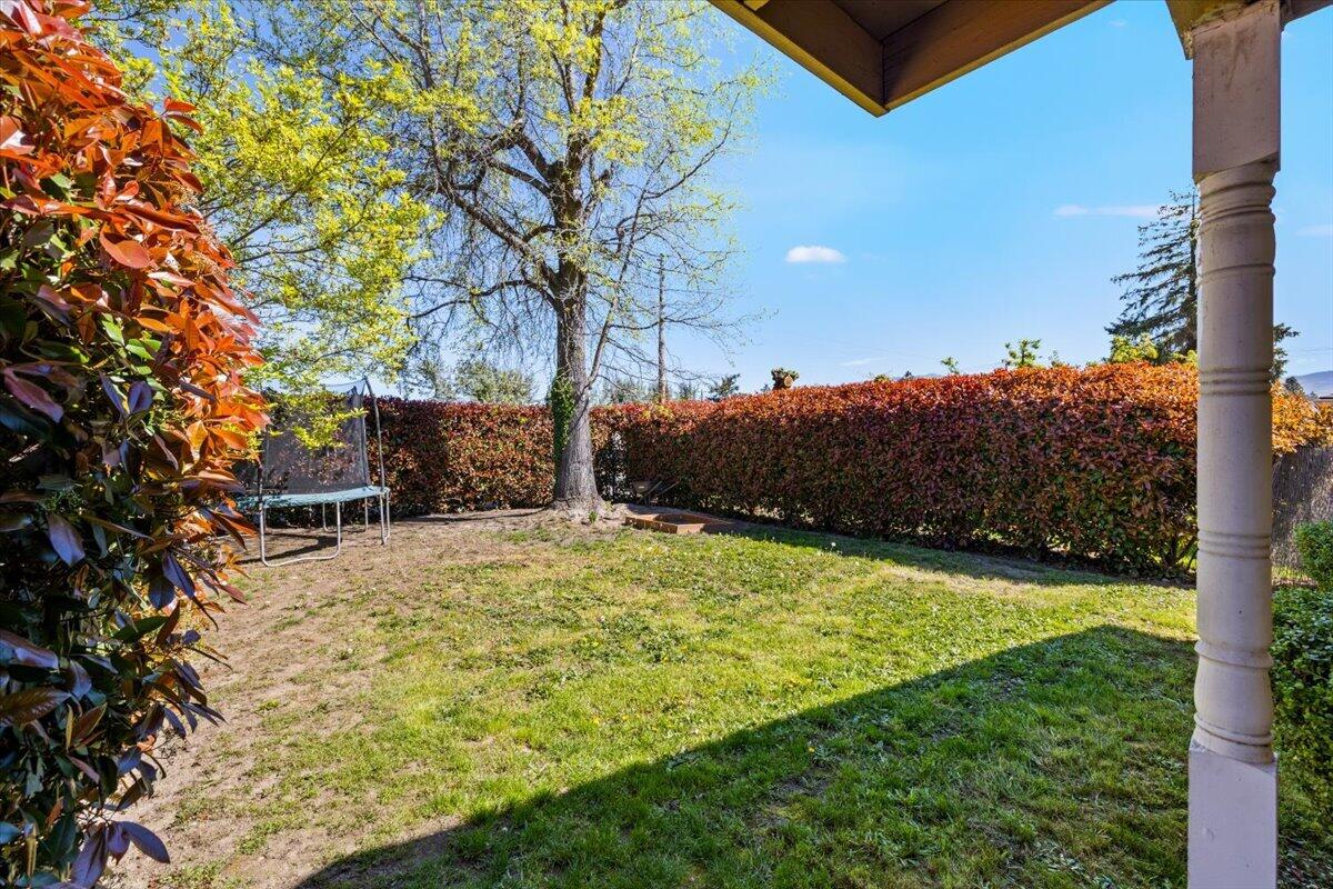 113 Houston Road Phoenix, OR 97535 - Photo 26 of 29 a yard with a tree
