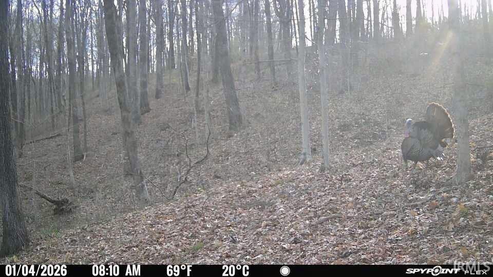 Off Candlestick Road Bristow, IN 47515 - Photo 30 of 30