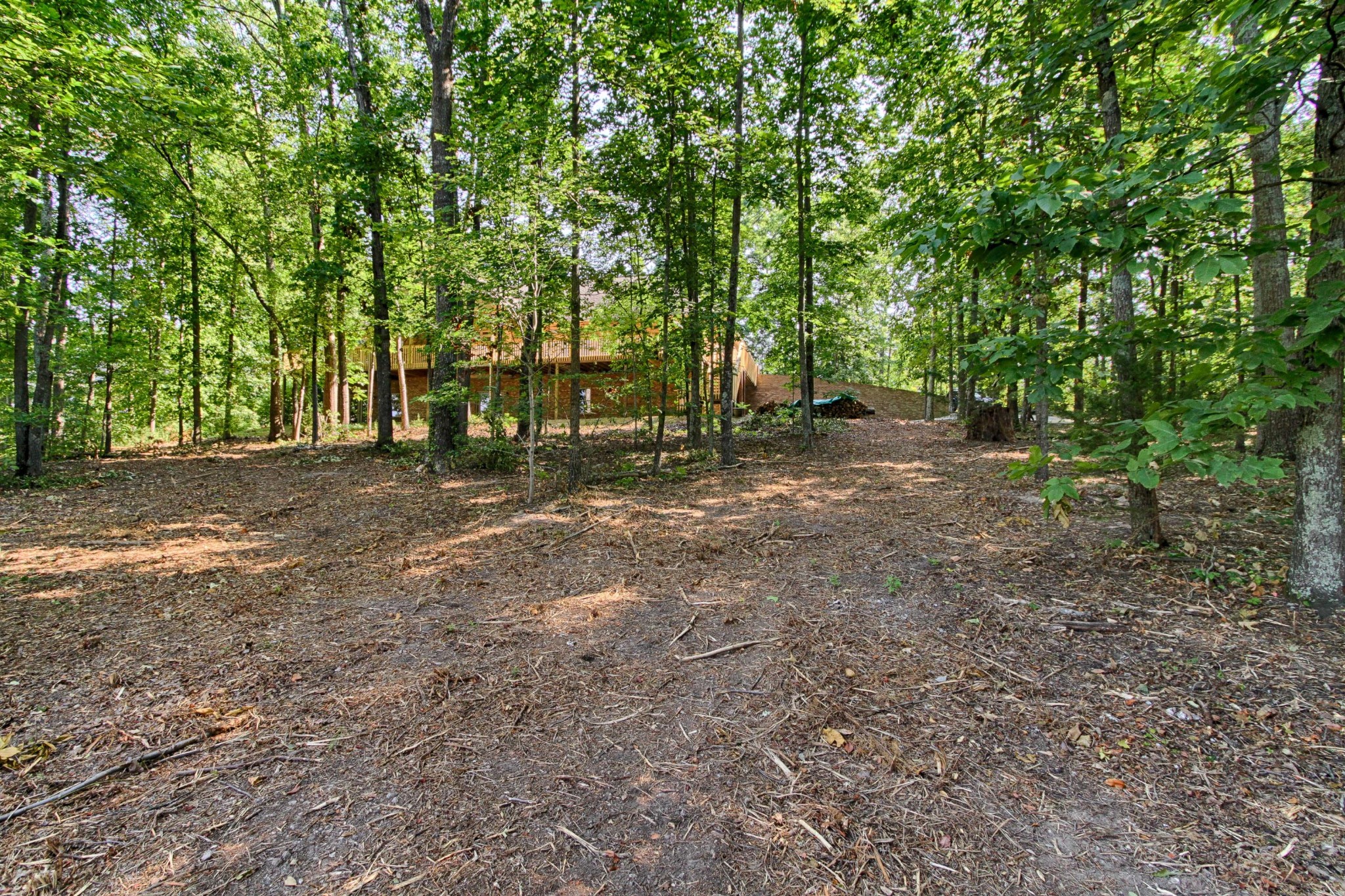 600 Baye Road Rutledge, TN 37861 - Photo 33 of 34 a view of a forest with trees in the background