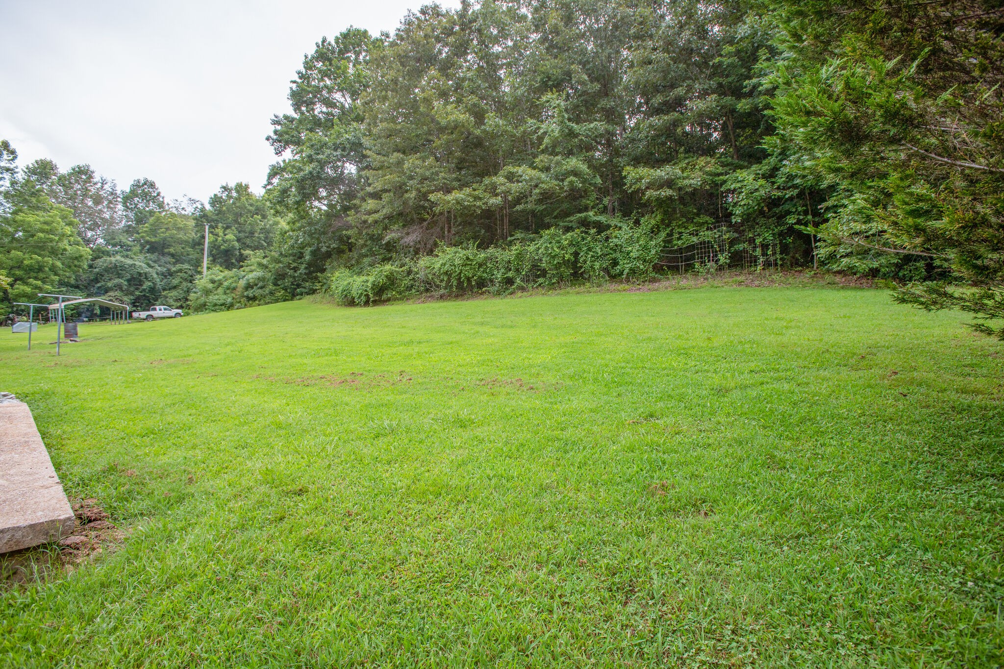 56 Morgan Road Lawrenceburg, TN 38464 - Photo 25 of 30 a view of field with trees in the background