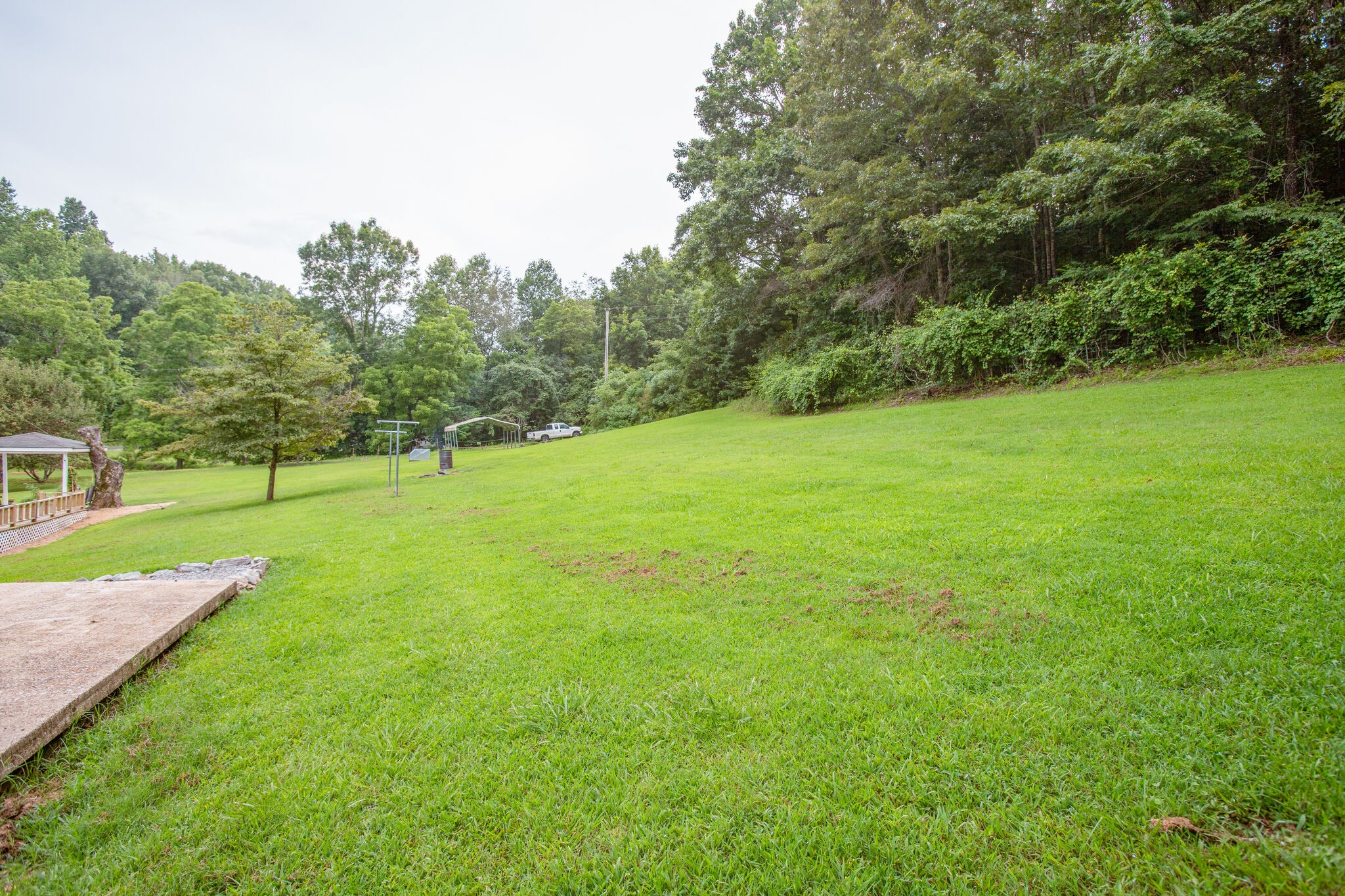 56 Morgan Road Lawrenceburg, TN 38464 - Photo 26 of 30 a view of a field with a tree in the background