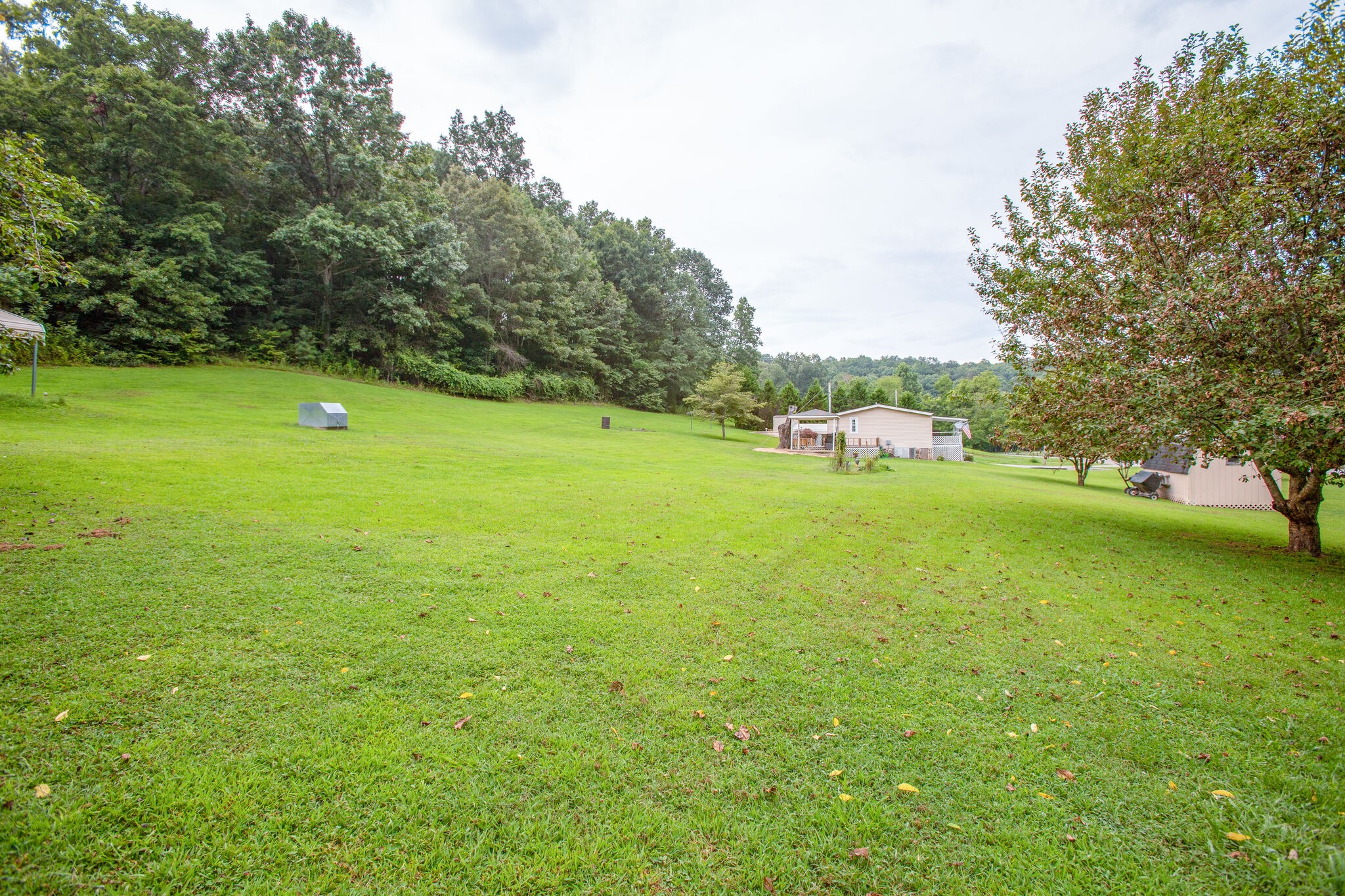 56 Morgan Road Lawrenceburg, TN 38464 - Photo 28 of 30 a view of a field of grass and trees