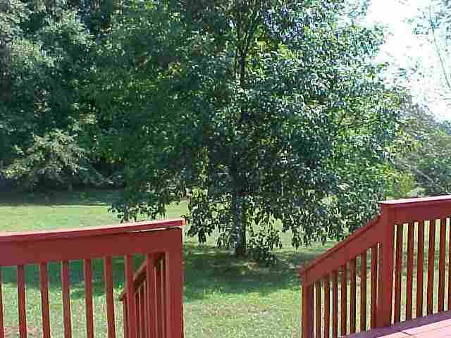 321 Martin Road Williamston, SC 29697 - Photo 8 of 9