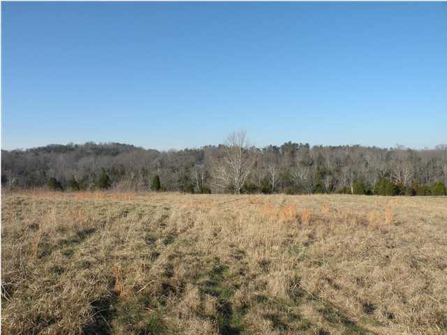 4 Doves Trail Road Shepherdsville, KY 40165 - Photo 1 of 1 Primary Photo